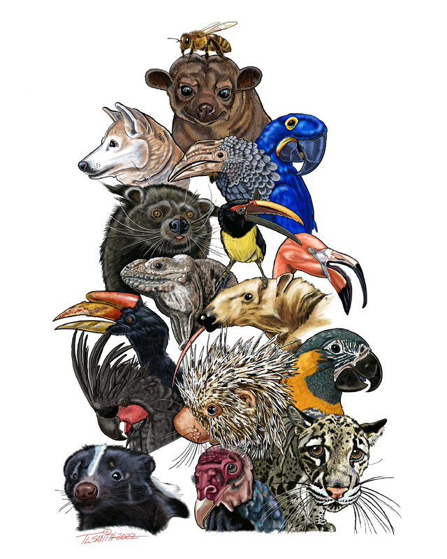 Realistic illustration of several animals one would find in a zoo.